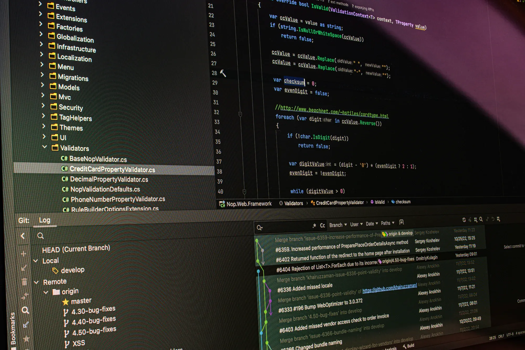 Custom software development in modern code editor